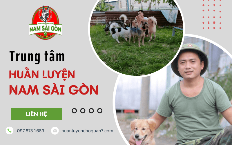 trung tâm huấn luyện Nam Sài Gòn