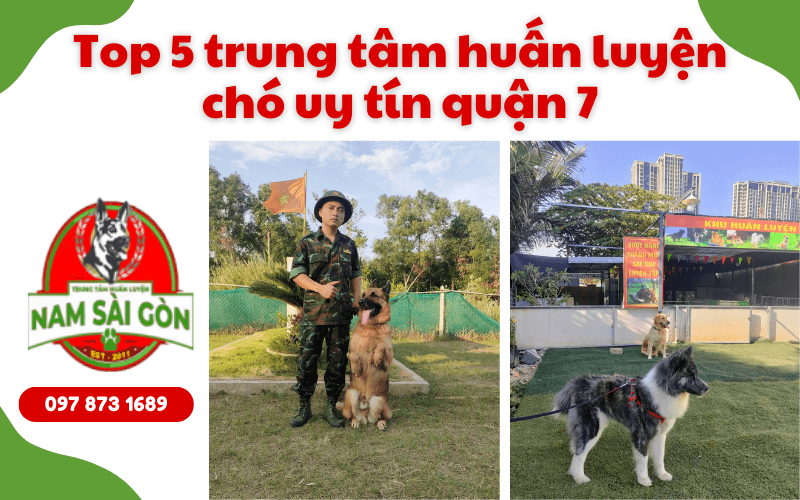 Trung tâm huấn luyện chó