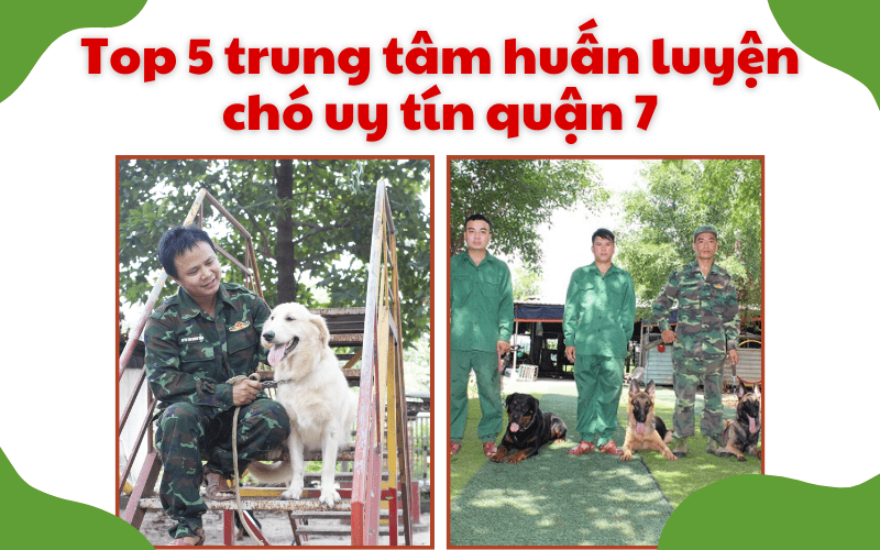 Trung tâm huấn luyện chó