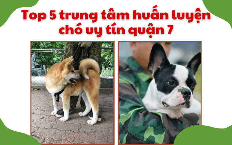 Trung tâm huấn luyện chó