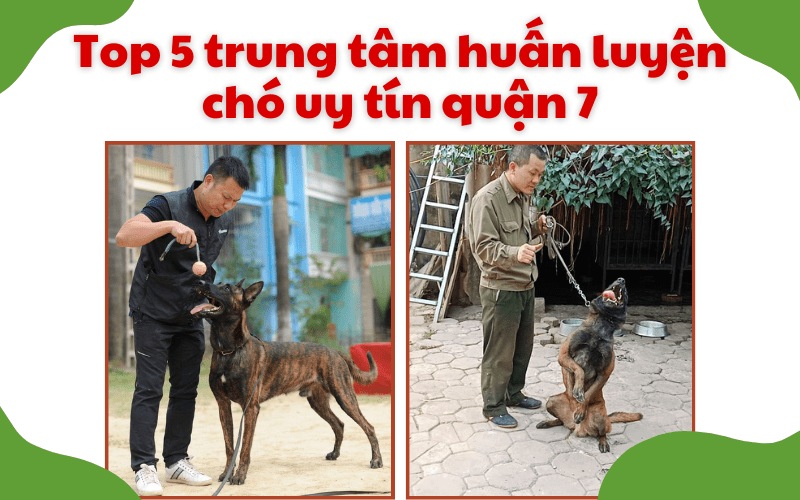 Trung tâm huấn luyện chó