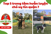 Top 5 trung tâm huấn luyện chó uy tín chất lượng tại quận 7