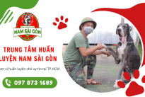  Trung tâm huấn luyện Nam Sài Gòn - Đơn vị huấn luyện chó uy tín tại TP.HCM