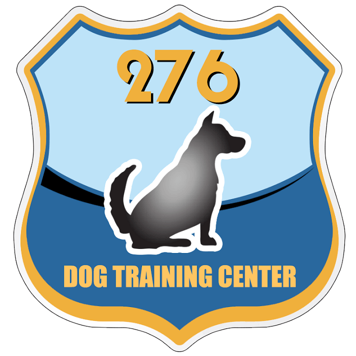 Trường Huấn Luyện Chó Quận 7